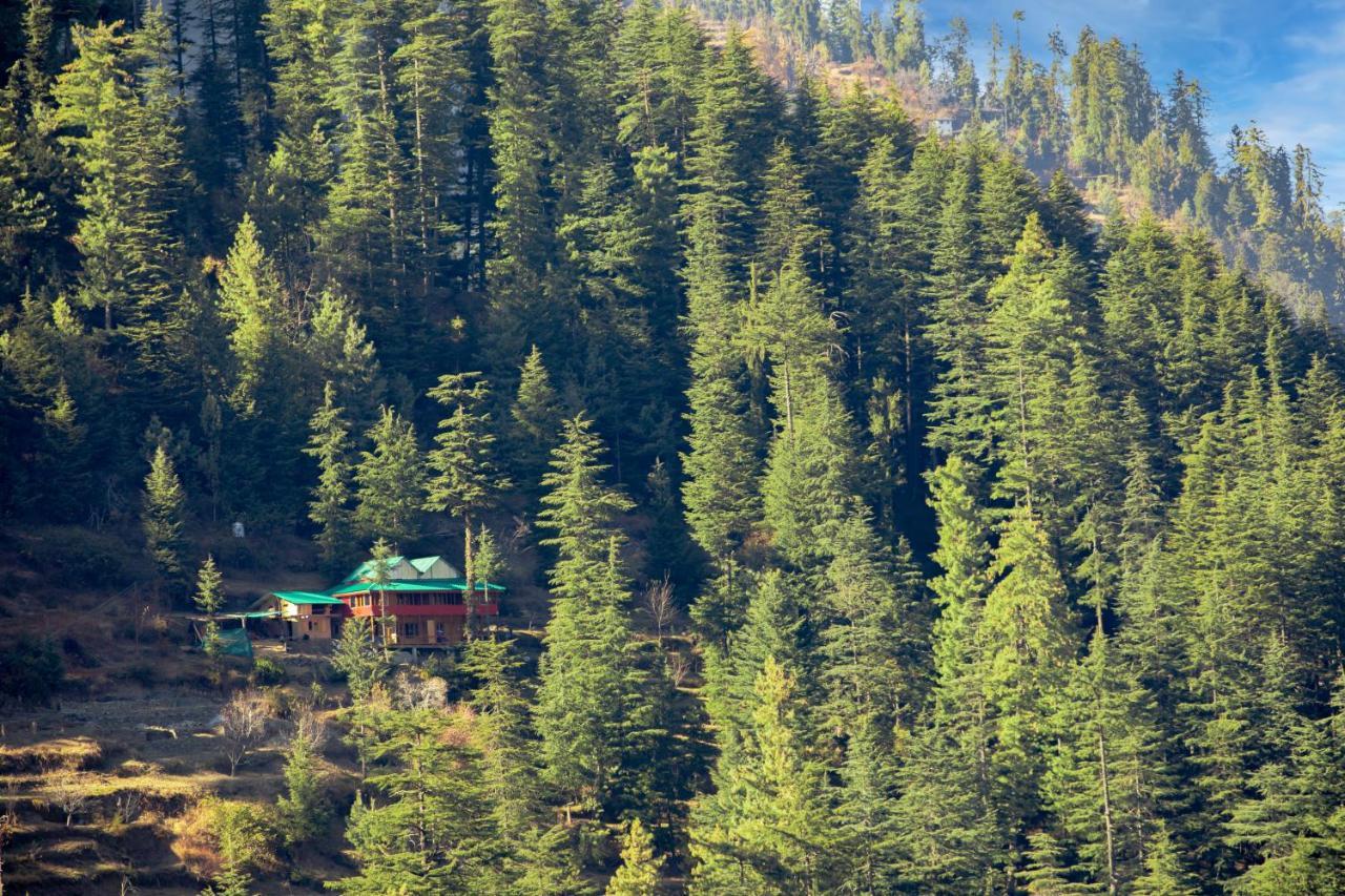 Freebird Nest Jibhi Hotel Exterior foto