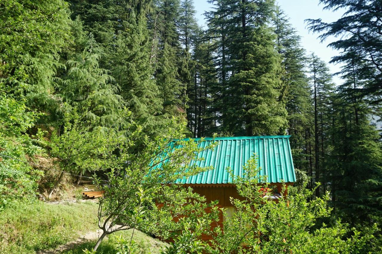Freebird Nest Jibhi Hotel Exterior foto
